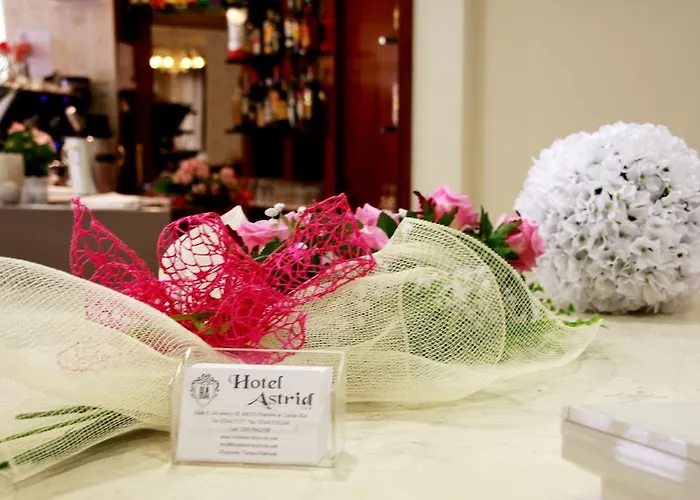 فندق Astrid